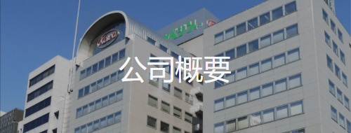 公司概要
